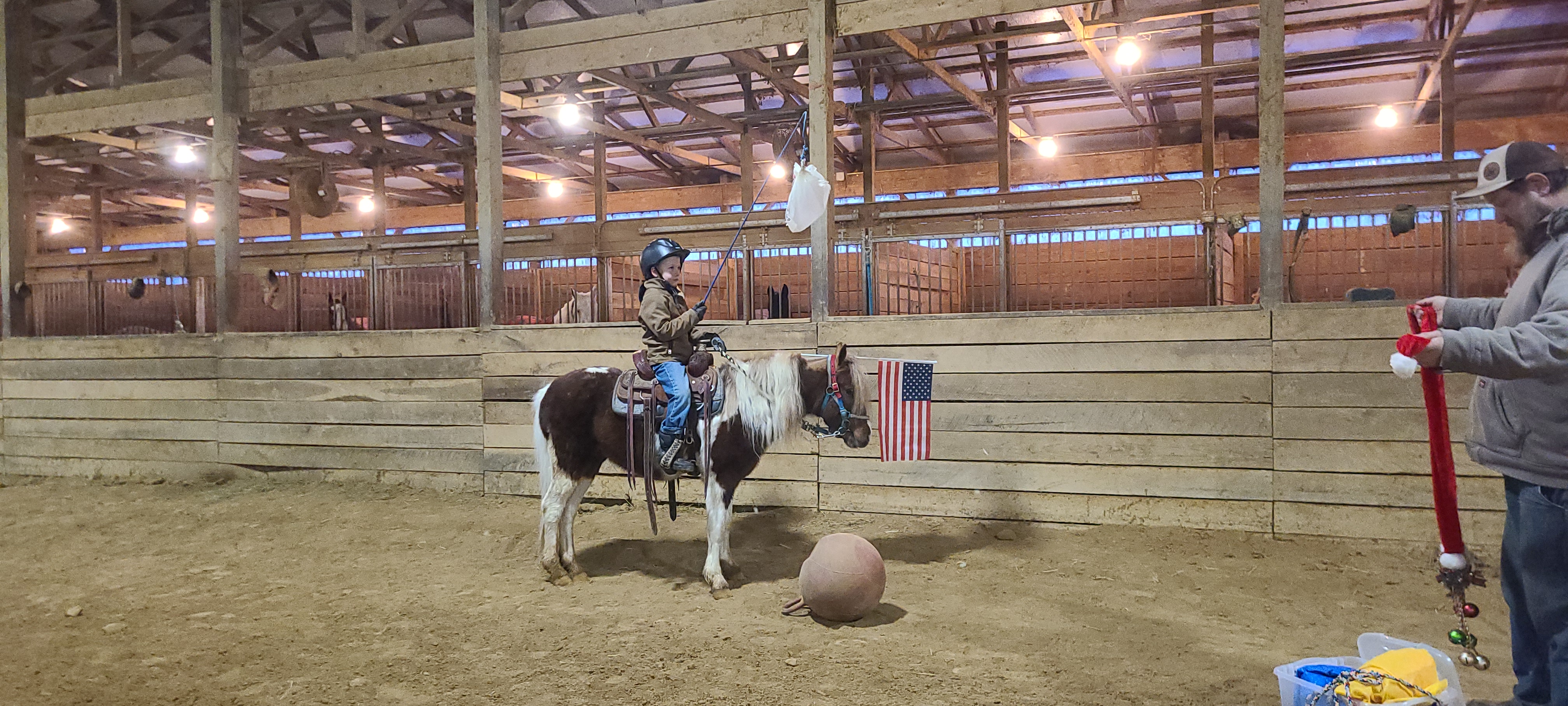 Rudolph 4 year old gelding pony