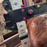 Screenshot_20251214-110658_Messages~2